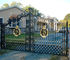 Barrières de tapis noir et portes ornementales/portes de jardin décoratives en métal